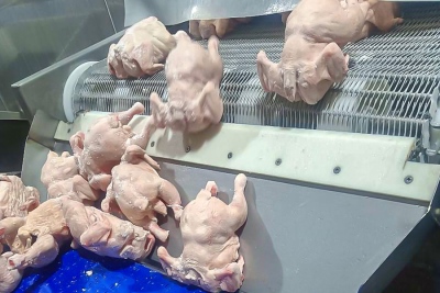 塔吉克斯坦2.5t螺旋隧道