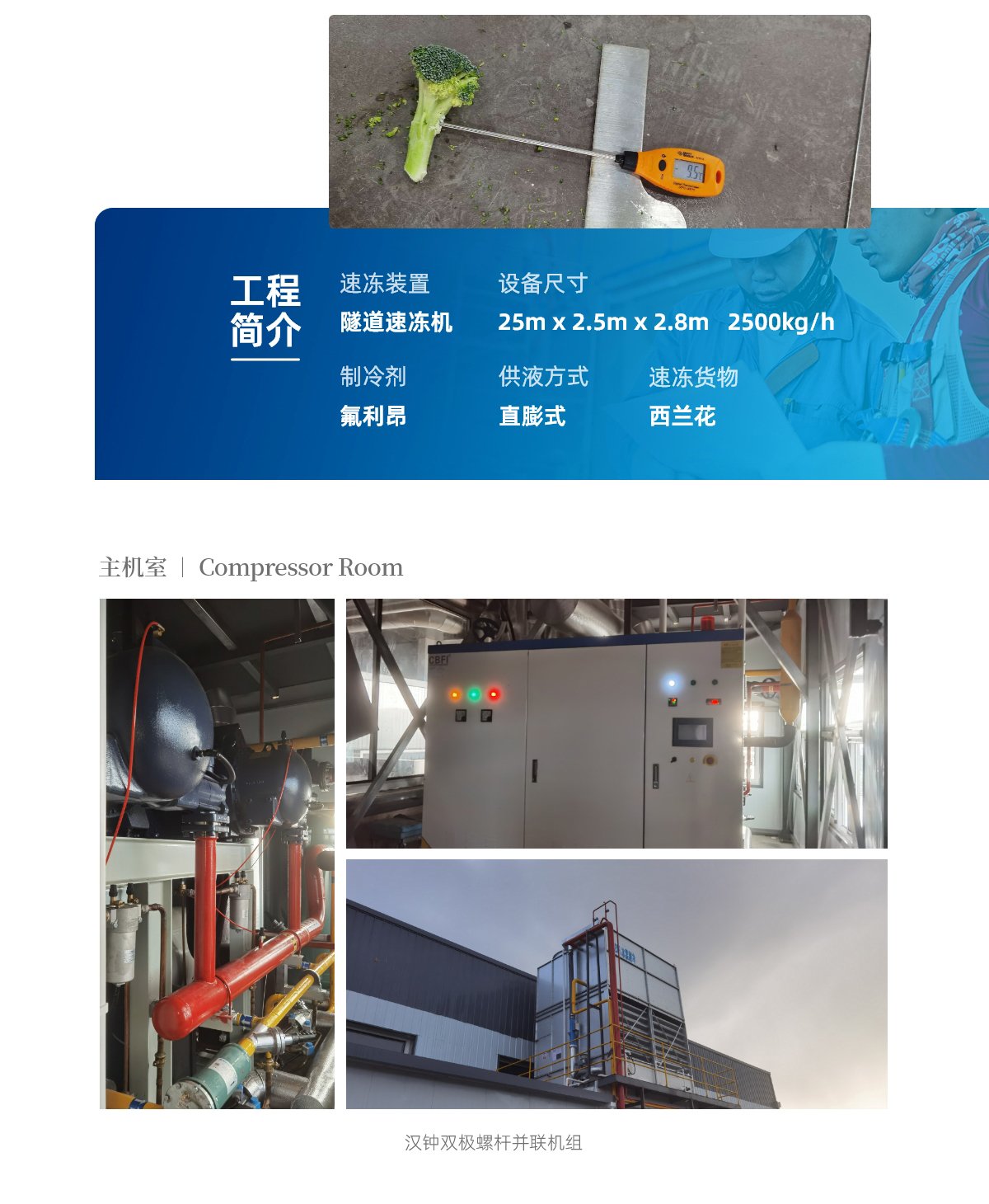 2023西藍(lán)花速凍隧道_02