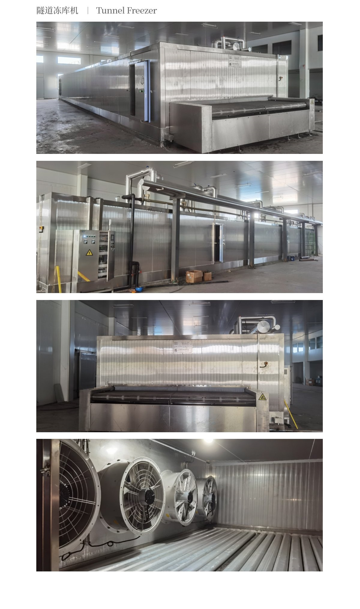 2023西藍(lán)花速凍隧道_03