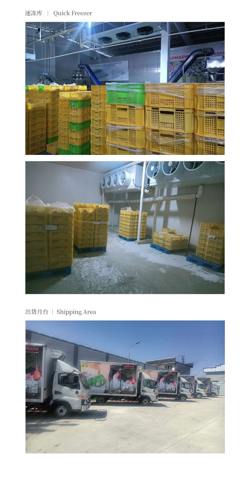塔吉克斯坦禽類加工屠宰冷庫_06
